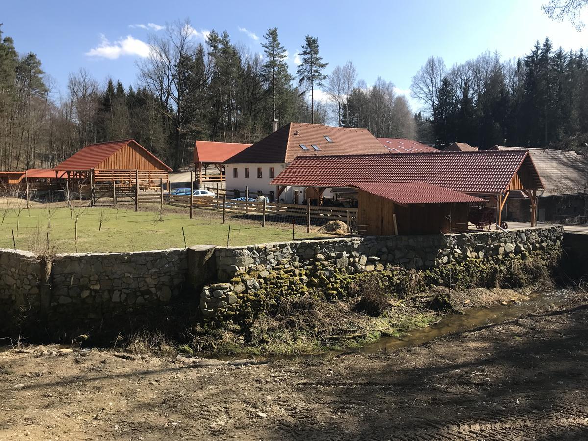 Hotel Zevluv Mlyn Nové Hrady Zewnętrze zdjęcie