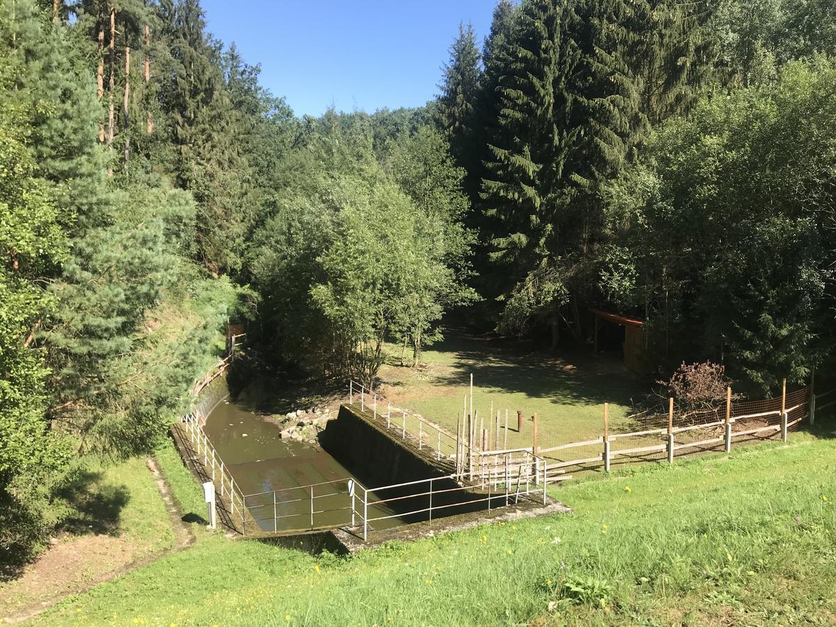 Hotel Zevluv Mlyn Nové Hrady Zewnętrze zdjęcie